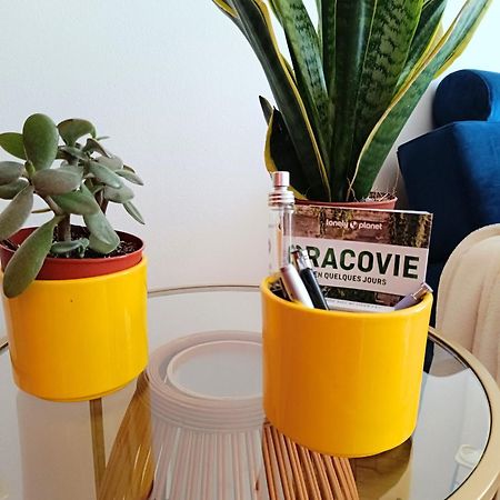 Coco Chanel Cosy 45 M2 City Centre Fast Wifi Krasków Εξωτερικό φωτογραφία
